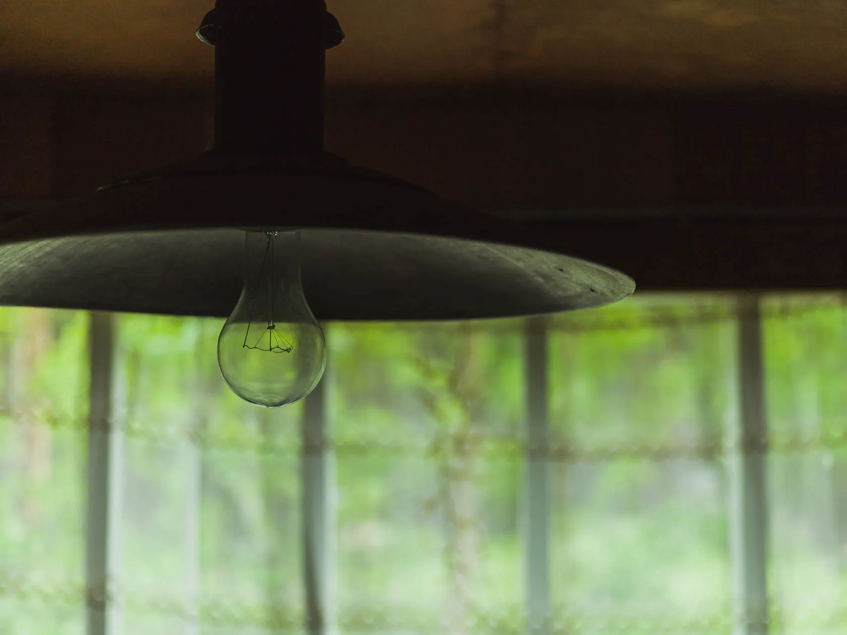 Старая подвесная лампа с прозрачной лампочкой на фоне зелени за окном